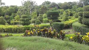 Jardin Botanique Des Cayes Haiti Jardin Botanique Jardins Botanique