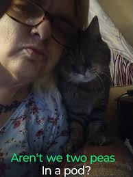 Grateful for kindness at Healthy Pets Lewis Center