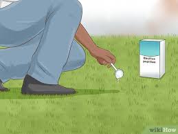 Maybe you would like to learn more about one of these? How To Get Rid Of Grubs 11 Steps With Pictures Wikihow