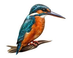 Kingfisher 'The Halcyon Bird' Sculpture