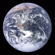 Sustainability Wikipedia