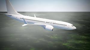 I believe both ethiopian and indonesian recent accidents on their 737 max 8. Boeing Knew About Problems With 737 Max The Year Before Lion Air Crash Cnn