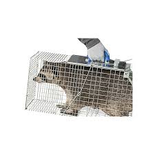 The patent pending design is easy to set, easy to release. Havahart Large 1 Door Collapsible Easy Set Trap Animal Traps Live Animals Animals