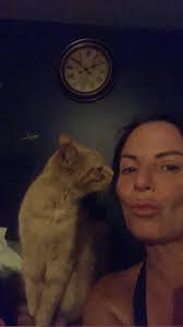 Lost tabby kitten in Stonebridge found