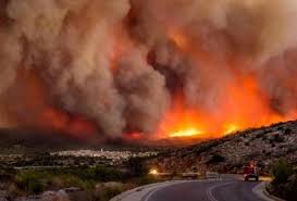 Συμφωνία για συνεργασία στην εξάρθρωση εγκληματικών ενεργειών. Mono Sthn Ellada Mia Topikh Benteta Pisw Apo Tis Fwties Sthn Kefalonia Sdna