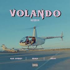 Yo se que al final ami no me olvidas tan si quiera un poco. Mora Bad Bunny Sech Volando Remix Lyrics English Translation Spanish