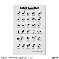 Doggie Language Large Poster Zazzle Com Dog Body Language Dog Training Obedience Dog Language
