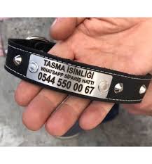 Kopek Kunyesi Kopek Kunyeleri Isimli Kopek Tasmalari Av Kopegi Kunyesi Kopek Isimlikleri Kopek Kunyesi Tasma Kunyesi Tasma Isimlikleri Isimli Tasma Kunyeli Tasma Isim Ve Numara Yazili Tasmalar Tasmaisimligi Com Da