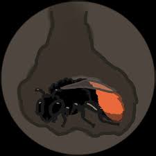 Image result for Bombus alpinus