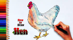 How To Draw Hen Hen Drawing Hen Painting Drawing For Kids Easy Drawings Drawing For Kids Easy Drawing Steps