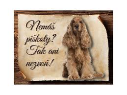 Image result for anglický kokršpaněl