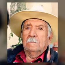 Elvira Torres (@elvira_torres) • Instagram photos and videos