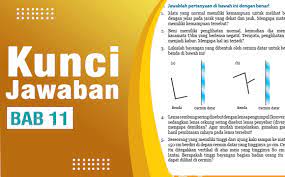 Kunci jawaban matematika kelas 8 halaman 302 303 304 305 306 307 308 309 uji kompetensi 10 pilihan ganda dan. Kunci Jawaban Ipa Kelas 8 Halaman 224 225 226 227 Bab 11 Uji Kompetensi Ilmu Edukasi