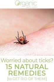 Worried About Ticks On Your Pets 15 Natural Remedies To Get Rid Of Them Natural Cough Remedies Herbal Cure Natural Remedies