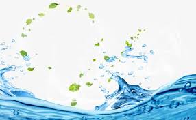 水花水波纹动感动感水动感水浪动感水纹喷溅树叶植物