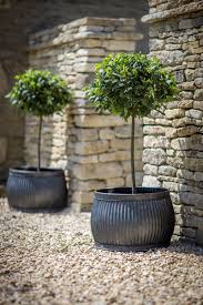 Our extra large garden pots are high quality and extremely versatile so you can introduce plants, shrubs and trees to a wide range of environments. Set Of 2 Large Shallow Vence Planters Large Planters Pots Large Outdoor Planters Large Garden Pots