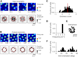 The story of fire saga fight for you. Plos Computational Biology A Single Cell Spiking Model For The Origin Of Grid Cell Patterns
