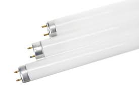 When exposed to the right amount of uv light your plant won't require any additional supplements even when you are planting it in a foreign setting. Choosing The Right Fluorescent Grow Lights For Your Indoor Garden Nosoilsolutions