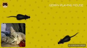 Check spelling or type a new query. Lihat Reaksi Lucu Kucing Saat Mainan Tikus Catsreaction So Cute Youtube