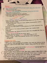 Zoology Ch 17 Gene Expression Lecture Notes I Use Different Colors Because It S Easier To See And Find Thing Biochemistry Notes Study Biology Biology Notes