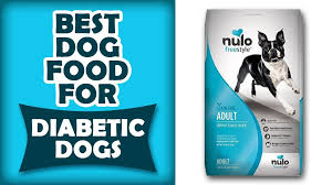 When starting on creating your diabetic dog's meals, keep it simple at first. 10 Best Dog Food For Diabetic Dogs 2021 Petmoo