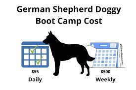 Your new puppy wants puppy headstart training! How Much Does It Cost To Train A German Shepherd The Shocking Truth Shepherd Sense