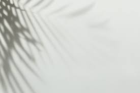 Download Premium Psd Of Shadow Of Palm Leaves On A Wall 556148 Shadow Images Shadow Shadow Photography