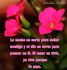 We did not find results for: Frases Bonitas Para Dedicar A Mi Pareja En El Dia Del Amor