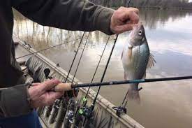 Croix premier spinning rod in 6.6 feet was ideal for the tackle and fish we were landing. St Croix Premier Spinning Rod Review The Blog Of The Gritroutdoors Com