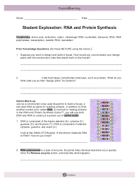 Protein synthesis worksheet answer key part b. Rna Protein Synthesisse