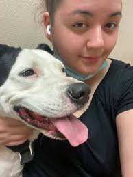 Lost dogs near McGuire Road in Tennessee