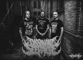 Image result for Dissotis peregrina