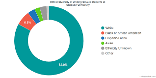 Clemson University Diversity Racial Demographics Other Stats