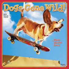 Avanti Dog Days Wall Calendar In 2020 Dog Calendar Dogs Dog Gifts