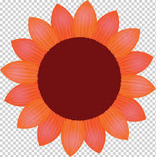 Berbagai gambar terkait gambar bunga mawar orange dan bunga lain nya juga dapat bapak ibu cari dan. Bunga Kelopak Bunga Matahari Orange Gazania Tanaman Gerbera Daisy Family Peach Png Klipartz
