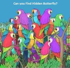 Box 63, tipp city, oh 45371. Find Hidden Butterfly In This Beautiful Picture Puzzles Riddles And Brainteasers