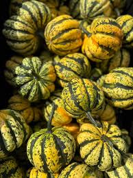 Image result for carnival acorn squash