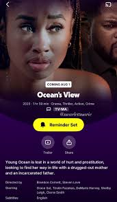 Review of The Perfect Him Movie