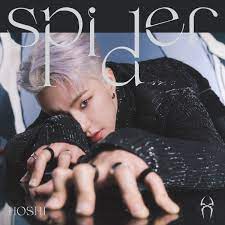 Check out amazing seventeenhoshi artwork on deviantart. Seventeen S Hoshi Is Entangled In Web Of Attraction In Fierce Spider Music Video Bollywood News Bollywood Hungama