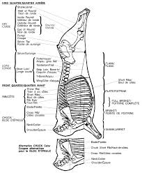 for photo diagram of meat cuts poultry skeletal diagram 1