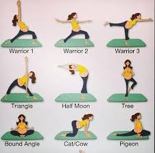 Cattle, or cows (female) and bulls (male), are the most common type of large domesticated ungulates. Schwangerschaft Yoga Ubungen Fur Android Apk Herunterladen