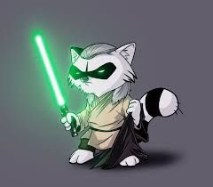 Qui Gon Raccoon Accroachcode By Devilhs Raccoon Anime Character