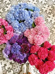 Maybe you would like to learn more about one of these? Scotts Flowers Nyc Scottsflowernyc Twitter