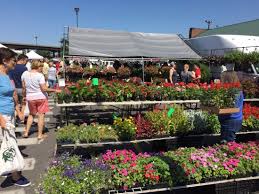 Check back every day for new deals near you. More Flowers Picture Of Central New York Regional Market Syracuse Tripadvisor