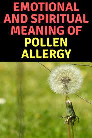 Allergies Spiritual Meaning Causes Symptoms Prevention Spiritual Meaning Pollen Allergies Allergies