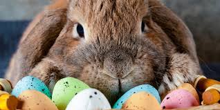 Pasen is het belangrijkste christelijke feest in het liturgische jaar, volgend op de goede week. 6 Keer Waarom Je Met Pasen Op Skivakantie Moet Gaan