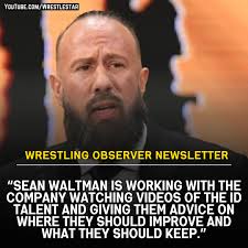 Sean Waltman is working with the company watching videos of the ID talent  and giving them advice