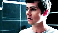 Giphy is how you search, share, discover, and create gifs. Dylan Obrien Gif 10 Gif Images Download