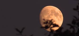 Full moons occur roughly once this month, the moon will turn full at 11:33 p.m. Frowqpye 88dem