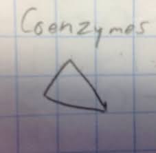 Displaying 8 worksheets for amoeba sisters monohybrid crosses. Amoeba Sisters Enzymes Edpuzzle Answers